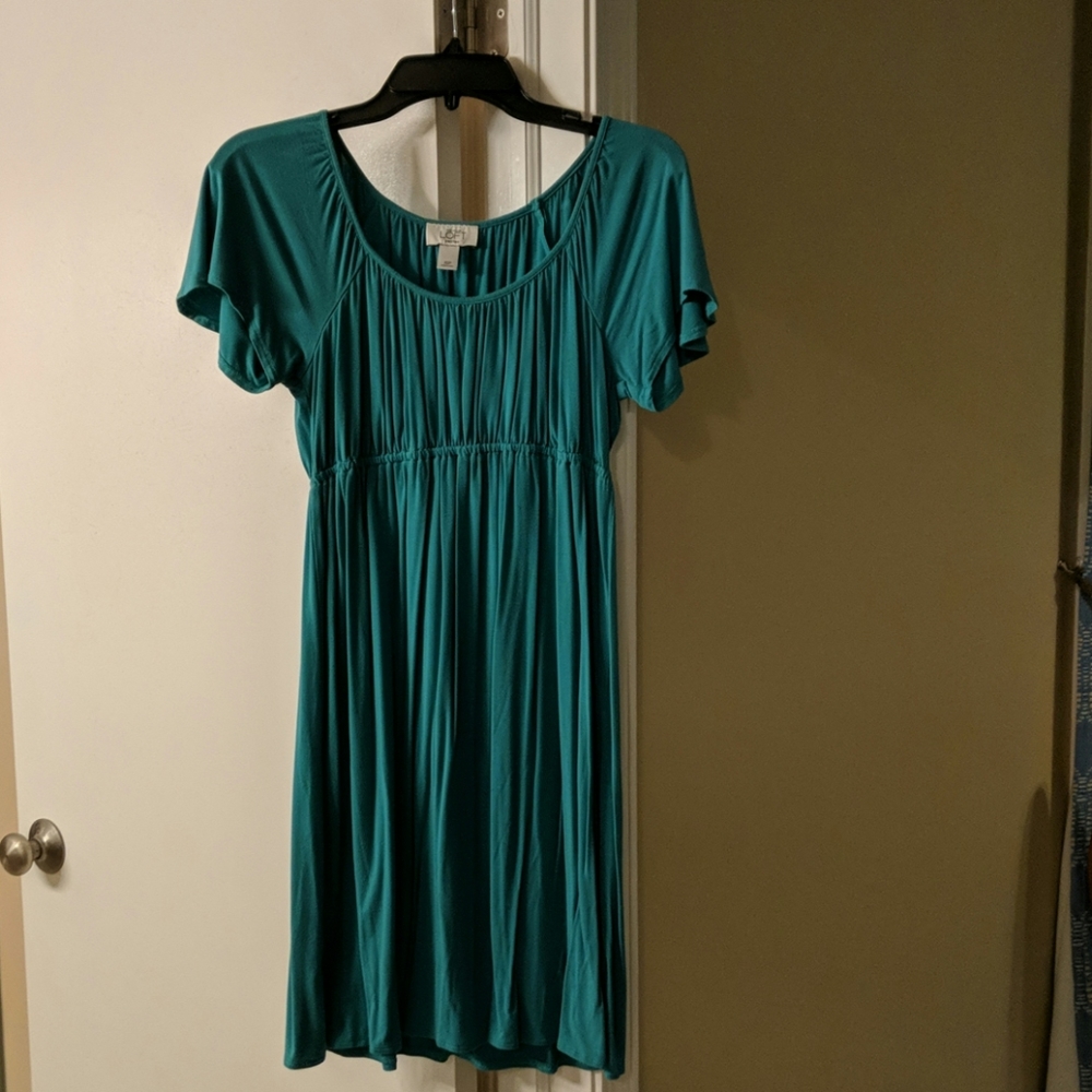 Anne Taylor Loft dress